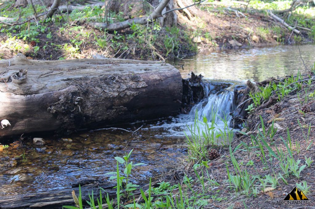 High Moss #91 — photograph 13 of the claim ground, Sierra County, California