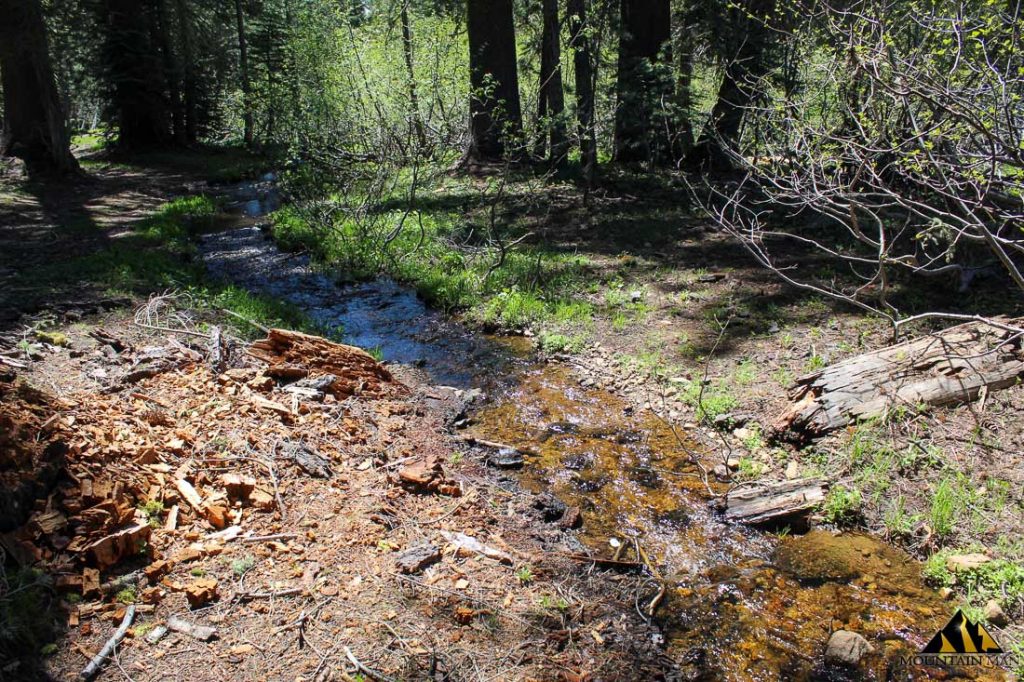 High Moss #91 — photograph 15 of the claim ground, Sierra County, California