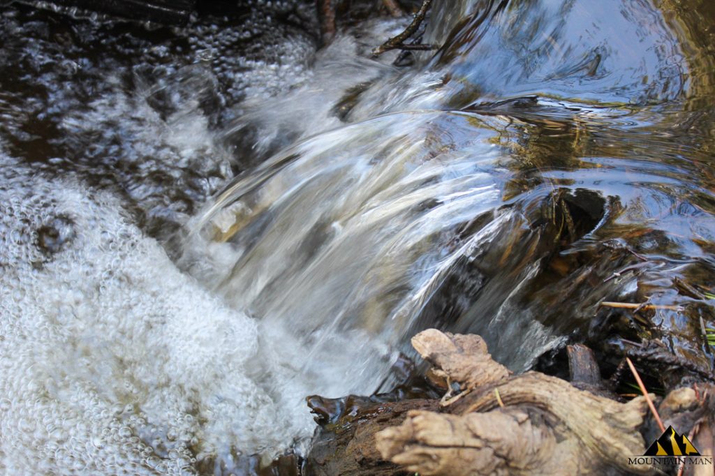 High Moss #91 — photograph 16 of the claim ground, Sierra County, California