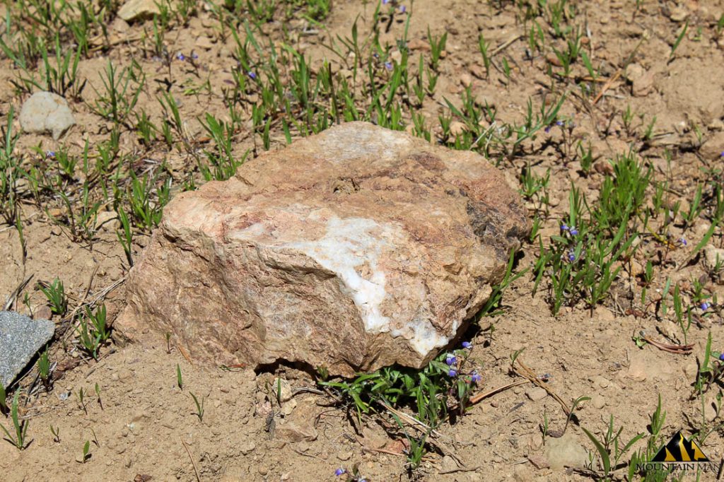 High Moss #91 — photograph 43 of the claim ground, Sierra County, California