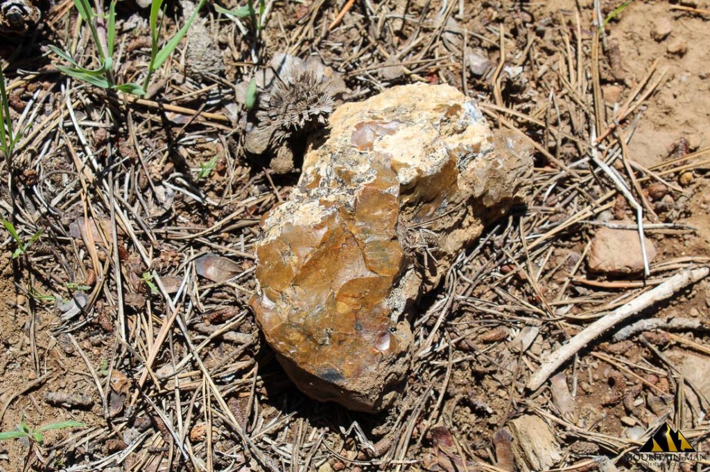 High Moss #91 — photograph 46 of the claim ground, Sierra County, California