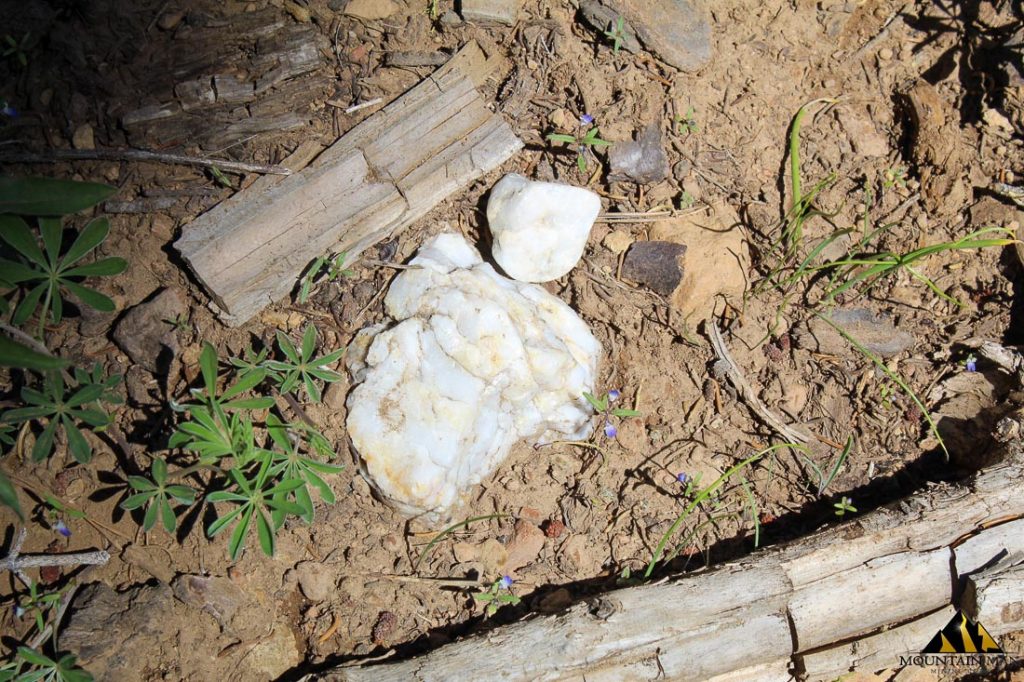 High Moss #91 — photograph 48 of the claim ground, Sierra County, California