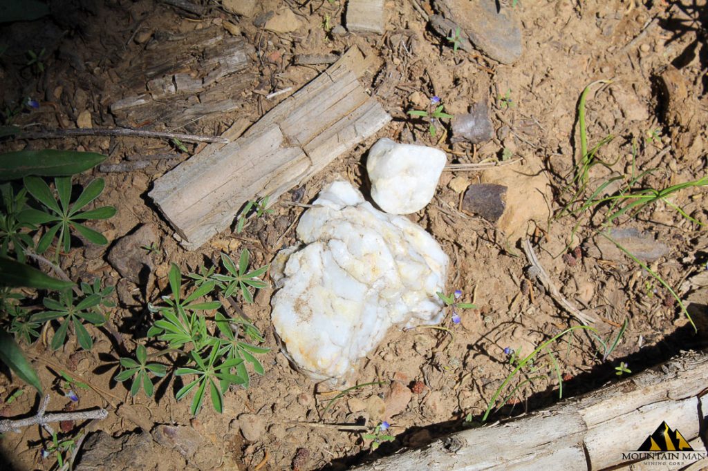 High Moss #91 — photograph 49 of the claim ground, Sierra County, California