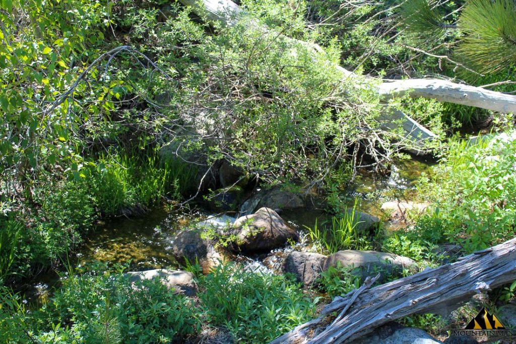 High Moss #91 — photograph 53 of the claim ground, Sierra County, California