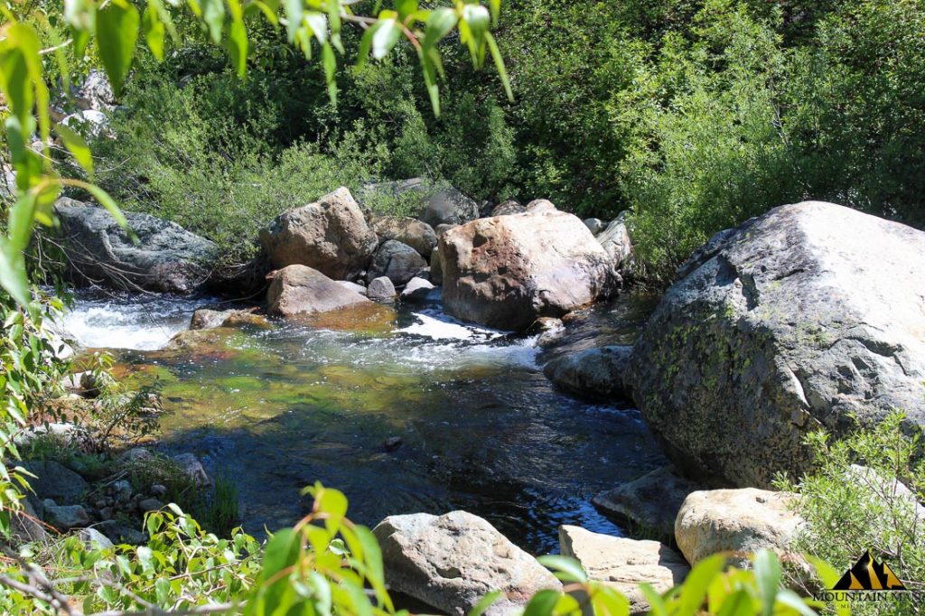 High Moss #91 — photograph 54 of the claim ground, Sierra County, California