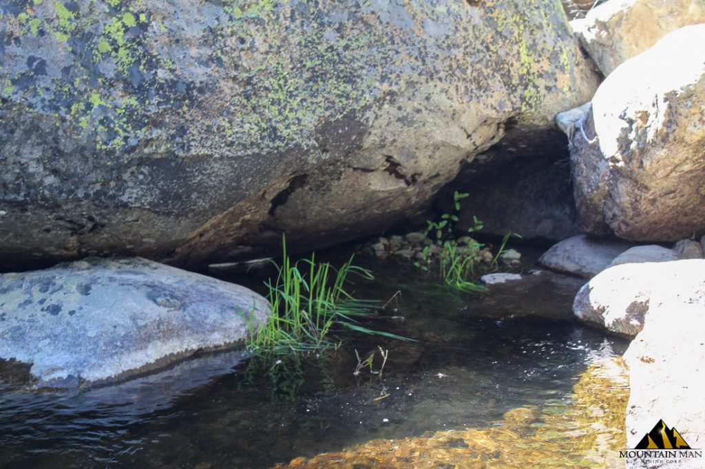 High Moss #91 — photograph 56 of the claim ground, Sierra County, California