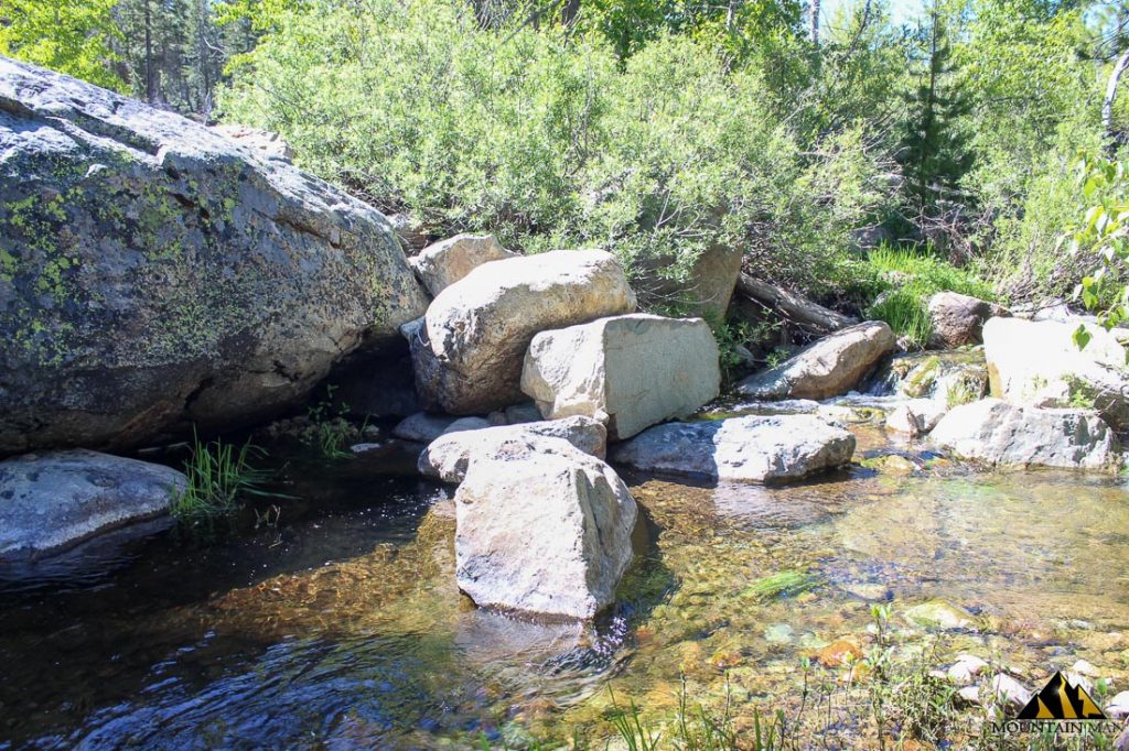 High Moss #91 — photograph 57 of the claim ground, Sierra County, California