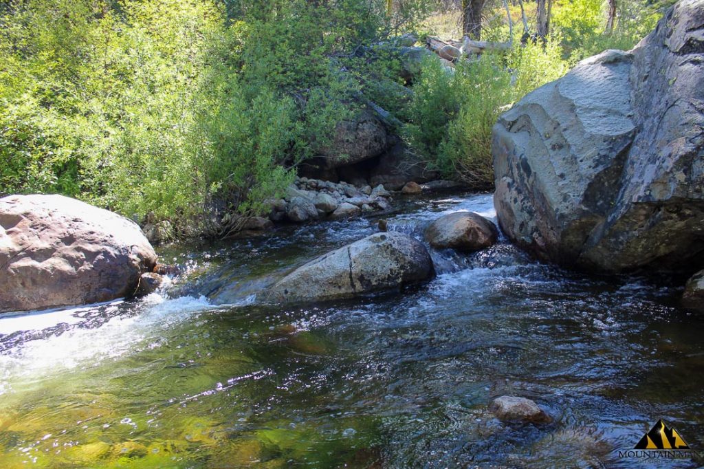 High Moss #91 — photograph 59 of the claim ground, Sierra County, California