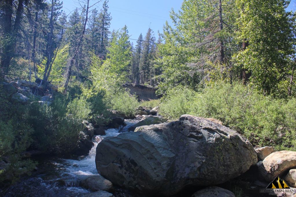 High Moss #91 — photograph 63 of the claim ground, Sierra County, California