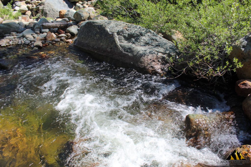 High Moss #91 — photograph 64 of the claim ground, Sierra County, California