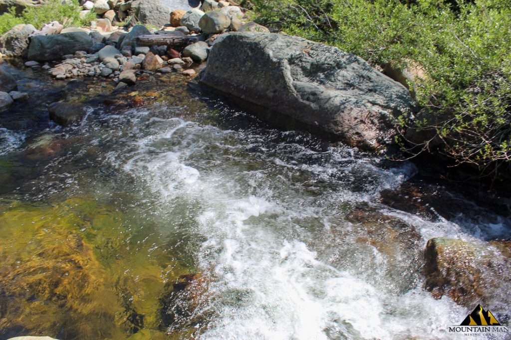 High Moss #91 — photograph 65 of the claim ground, Sierra County, California