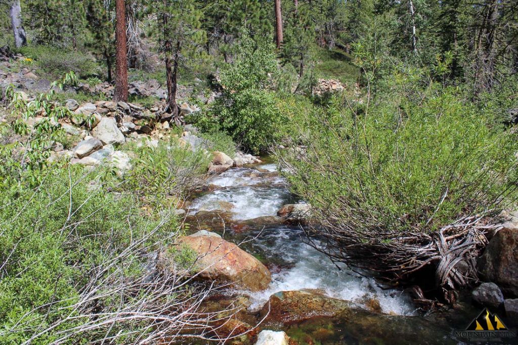 High Moss #91 — photograph 66 of the claim ground, Sierra County, California