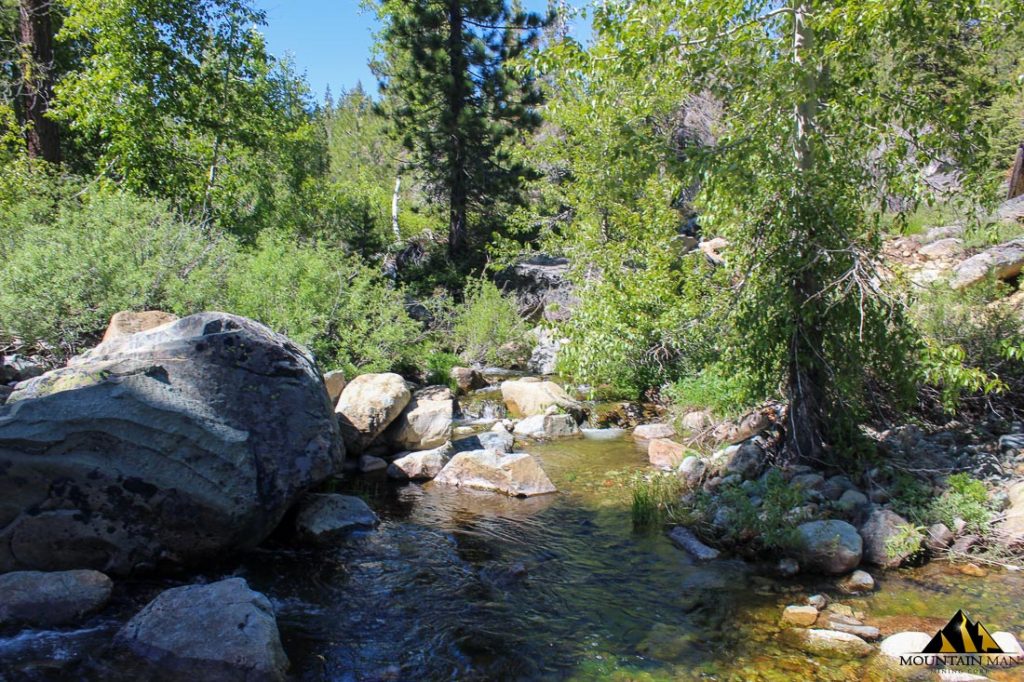 High Moss #91 — photograph 67 of the claim ground, Sierra County, California