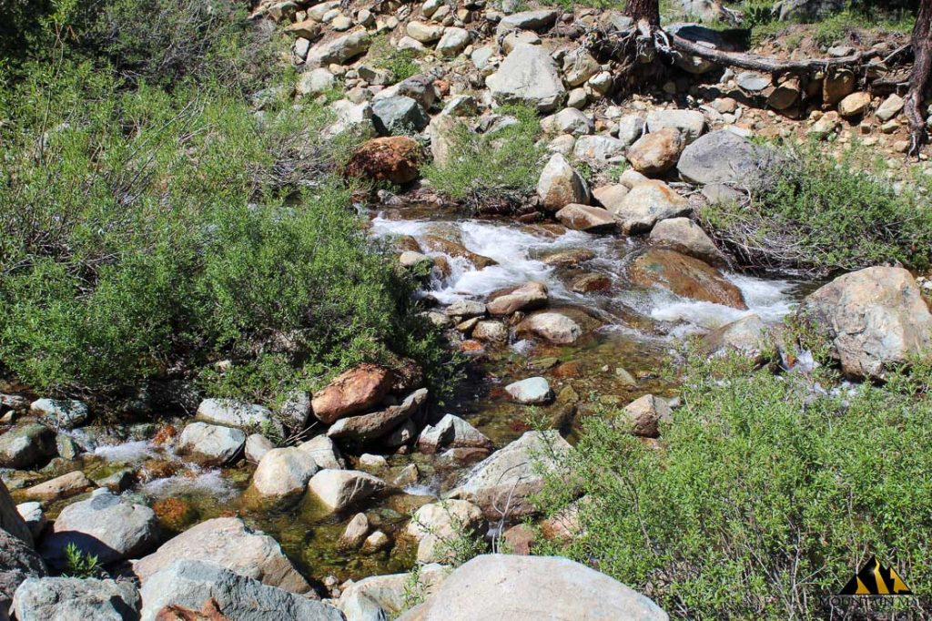 High Moss #91 — photograph 68 of the claim ground, Sierra County, California