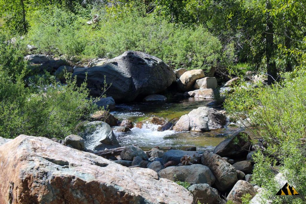 High Moss #91 — photograph 70 of the claim ground, Sierra County, California