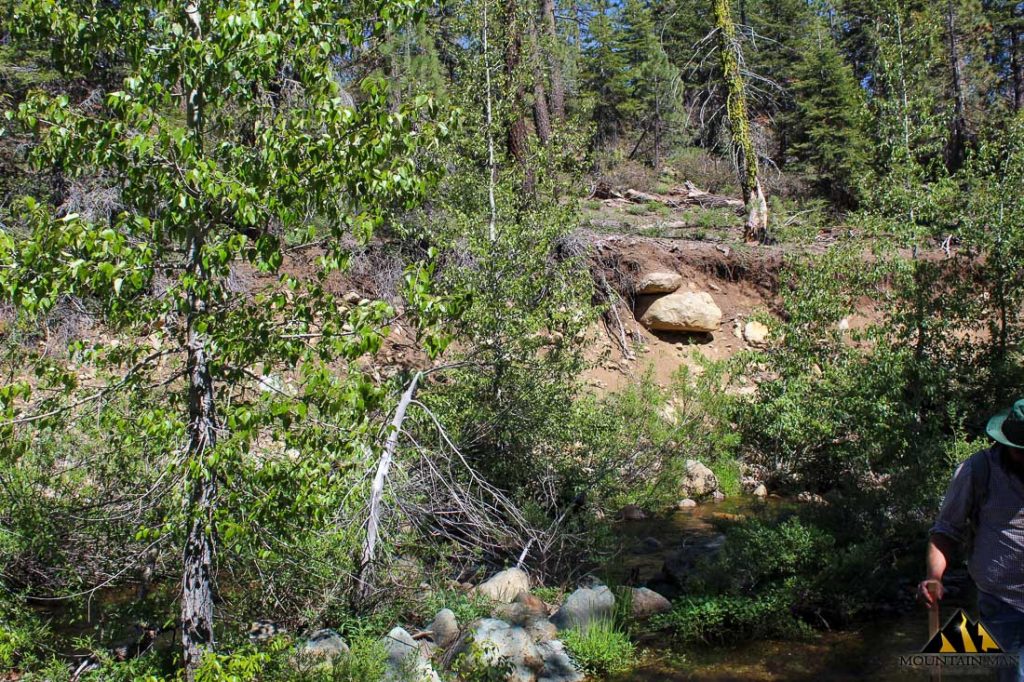 High Moss #91 — photograph 72 of the claim ground, Sierra County, California