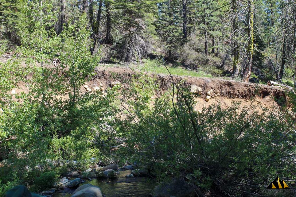 High Moss #91 — photograph 73 of the claim ground, Sierra County, California