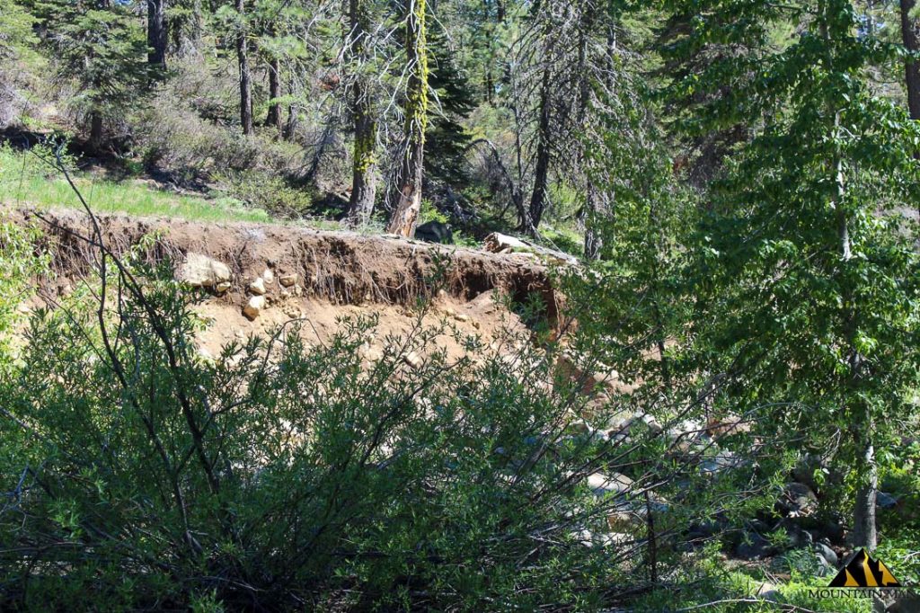 High Moss #91 — photograph 74 of the claim ground, Sierra County, California