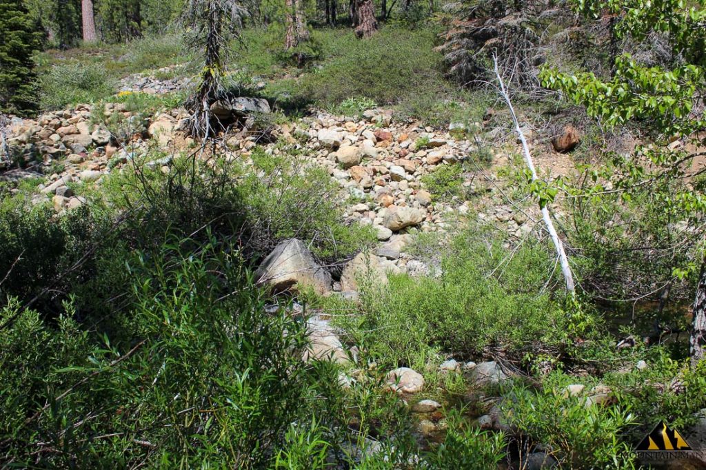 High Moss #91 — photograph 75 of the claim ground, Sierra County, California