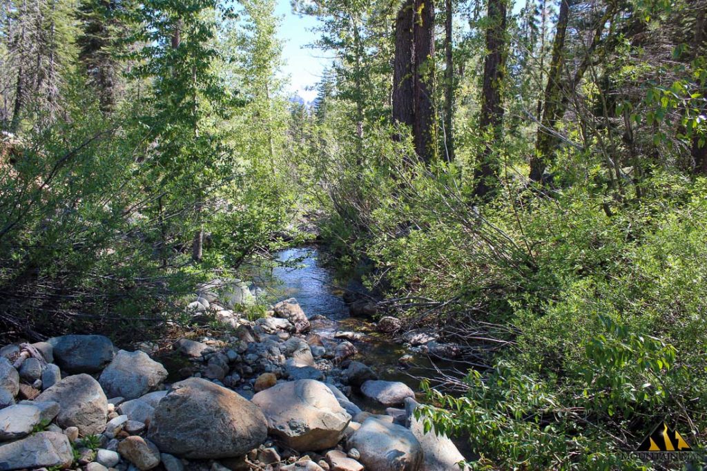 High Moss #91 — photograph 76 of the claim ground, Sierra County, California