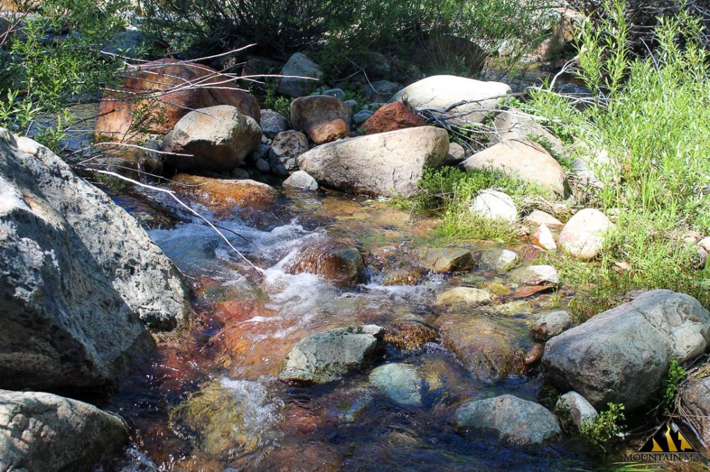 High Moss #91 — photograph 77 of the claim ground, Sierra County, California