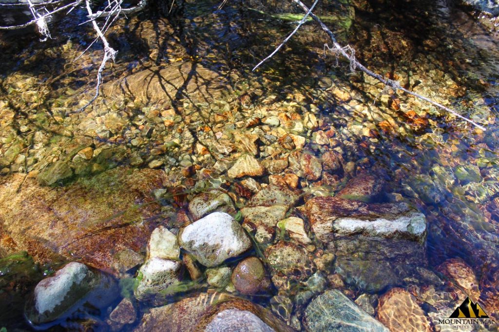 High Moss #91 — photograph 78 of the claim ground, Sierra County, California