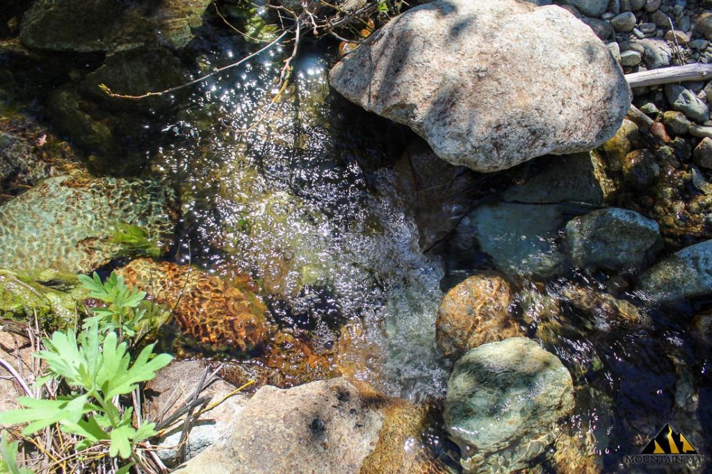 High Moss #91 — photograph 79 of the claim ground, Sierra County, California