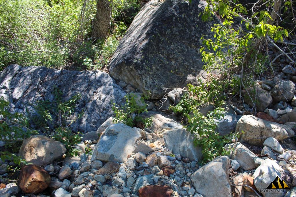High Moss #91 — photograph 81 of the claim ground, Sierra County, California