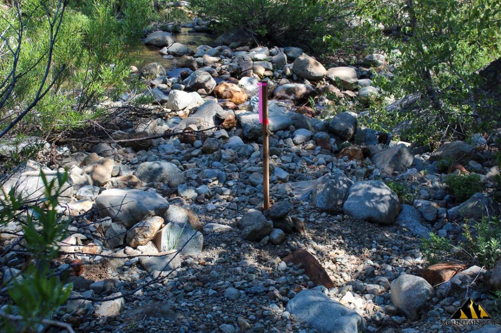 High Moss #91 — photograph 84 of the claim ground, Sierra County, California