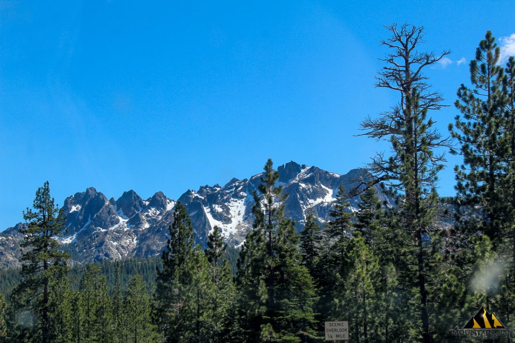 High Moss #91 — photograph 90 of the claim ground, Sierra County, California