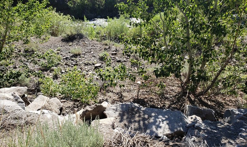 River Maverick Placer — photograph 1 of the claim ground, Carson City County, Nevada