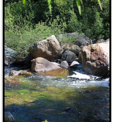High Moss #91 — photograph 94 of the claim ground, Sierra County, California