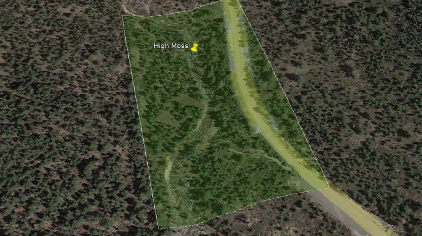 High Moss #91 — photograph 93 of the claim ground, Sierra County, California