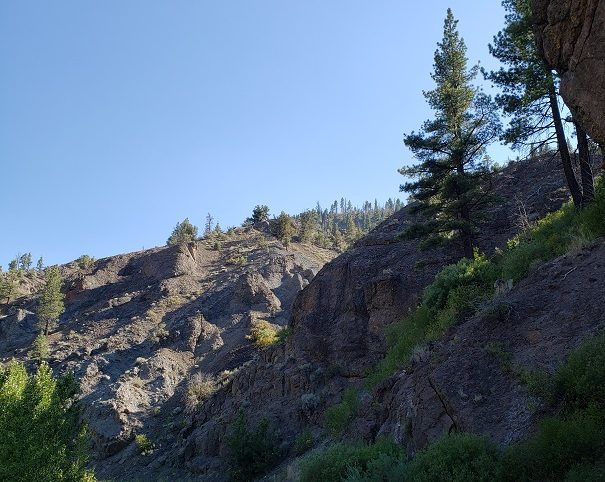 Wolf Creek — photograph 1 of the claim ground, Plumas County, California
