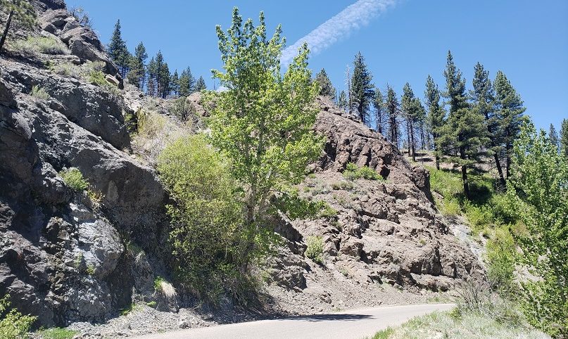 Wolf Creek — photograph 2 of the claim ground, Plumas County, California