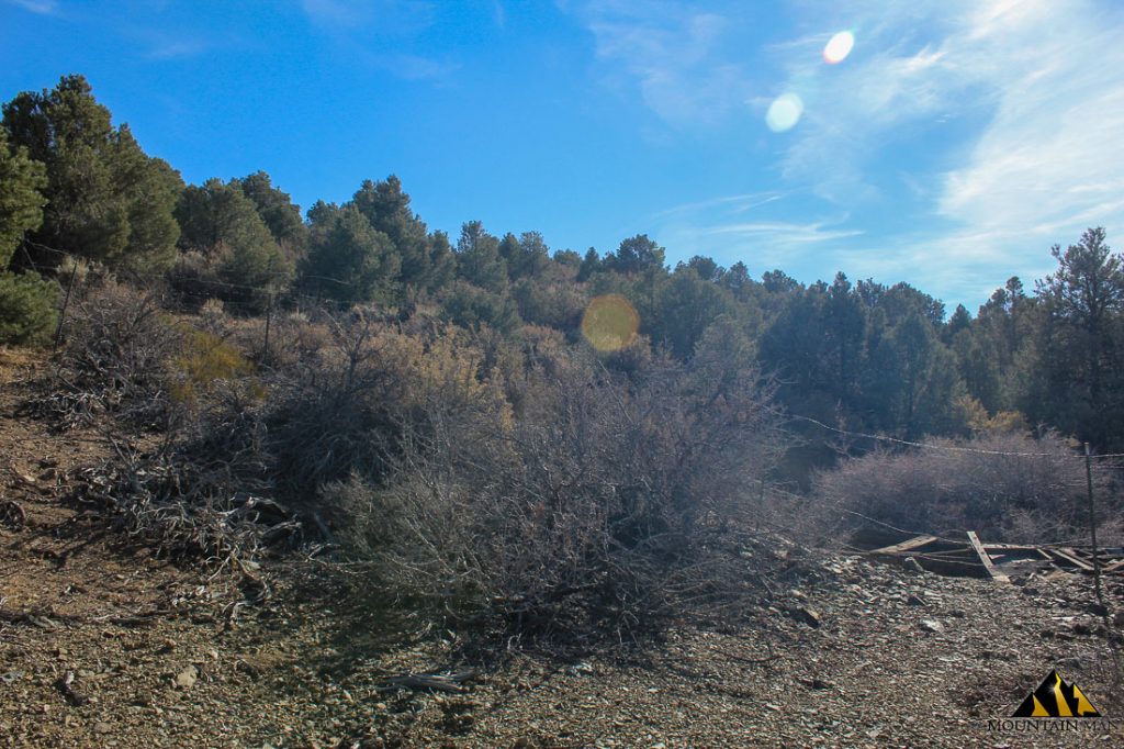 Bidwell Mine — photograph 6 of the claim ground, Carson City County, Nevada