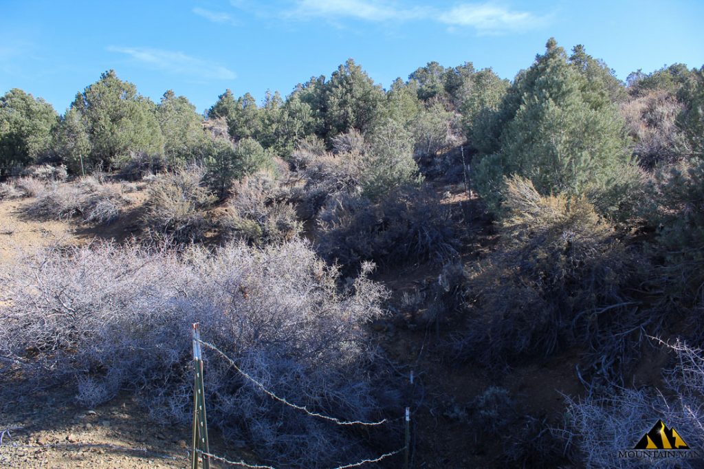 Bidwell Mine — photograph 8 of the claim ground, Carson City County, Nevada