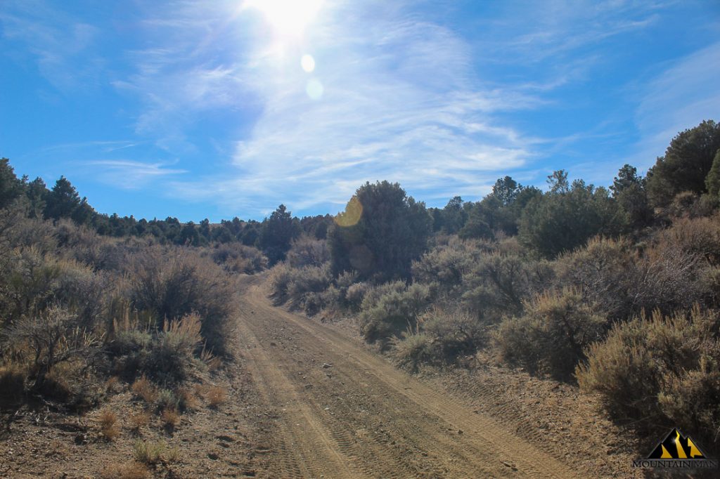 Bidwell Mine — photograph 9 of the claim ground, Carson City County, Nevada