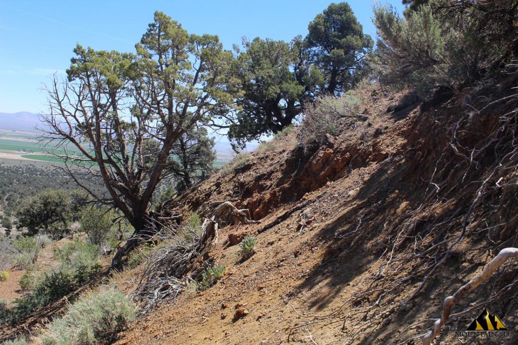 Red Canyon — photograph 17 of the claim ground, Douglas County, Nevada