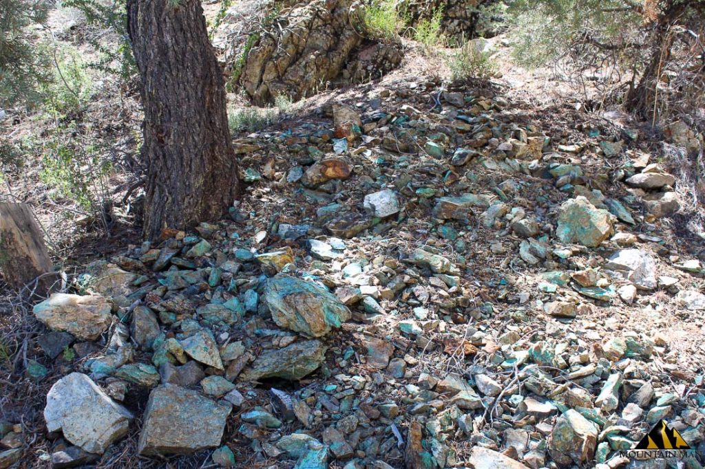 Red Canyon — photograph 22 of the claim ground, Douglas County, Nevada