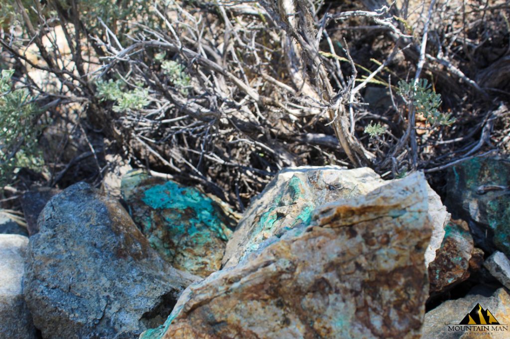 Red Canyon — photograph 25 of the claim ground, Douglas County, Nevada