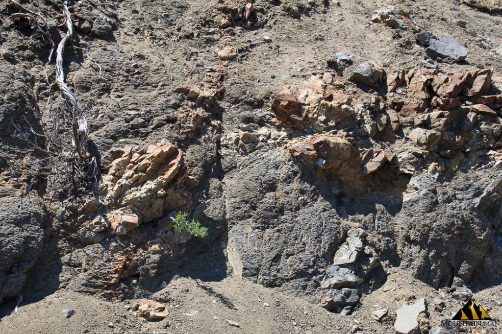 Red Canyon — photograph 26 of the claim ground, Douglas County, Nevada