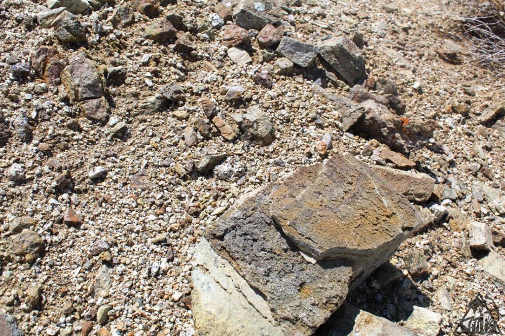 Comstock Extension — photograph 34 of the claim ground, Storey County, Nevada