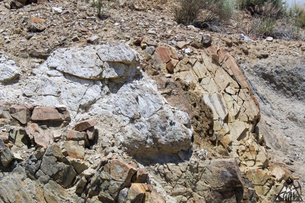 Comstock Extension — photograph 45 of the claim ground, Storey County, Nevada