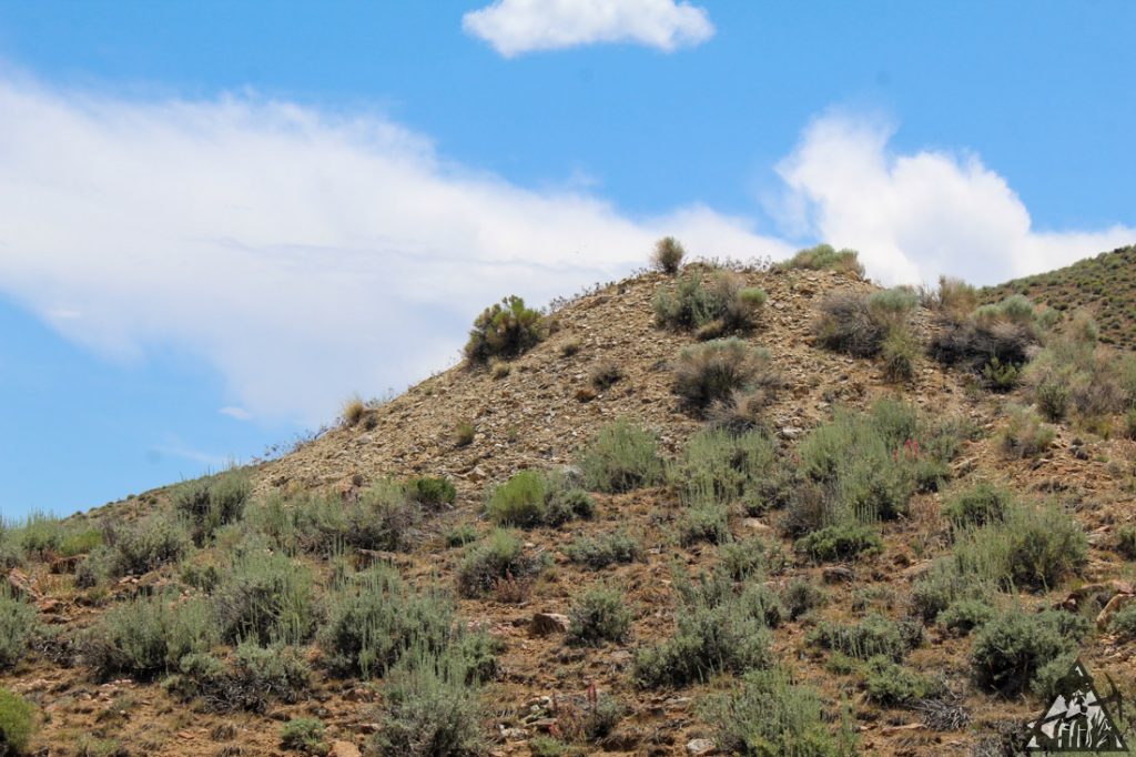 Comstock Extension — photograph 46 of the claim ground, Storey County, Nevada