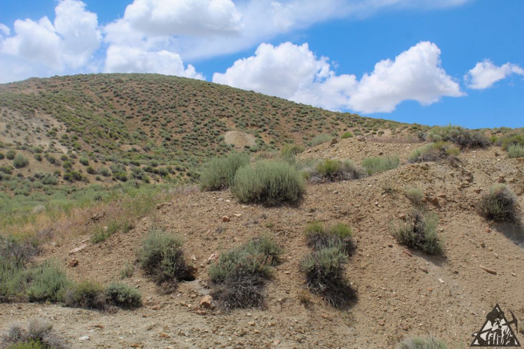 Comstock Extension — photograph 48 of the claim ground, Storey County, Nevada