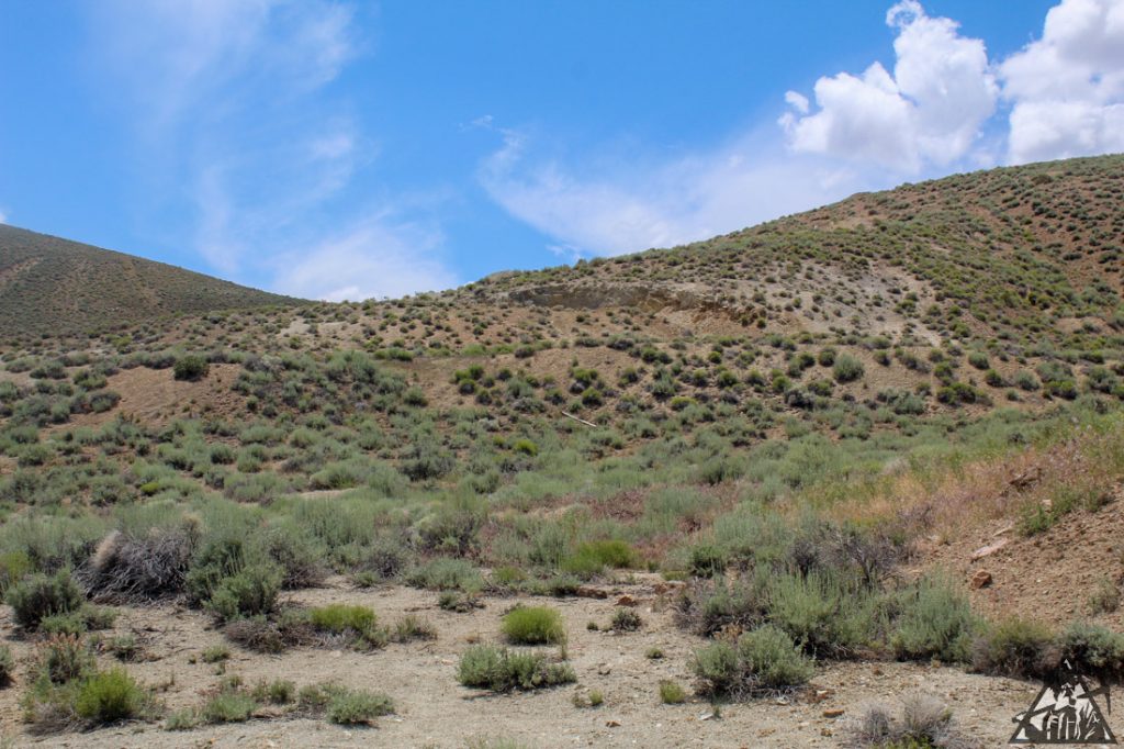 Comstock Extension — photograph 49 of the claim ground, Storey County, Nevada