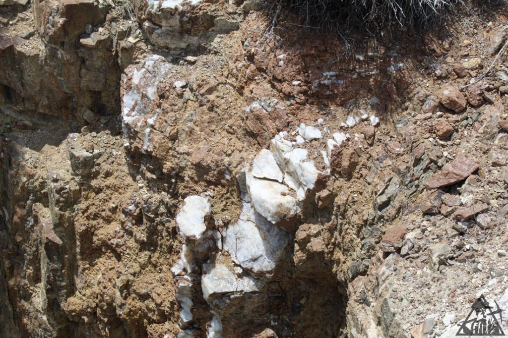 Comstock Extension — photograph 54 of the claim ground, Storey County, Nevada