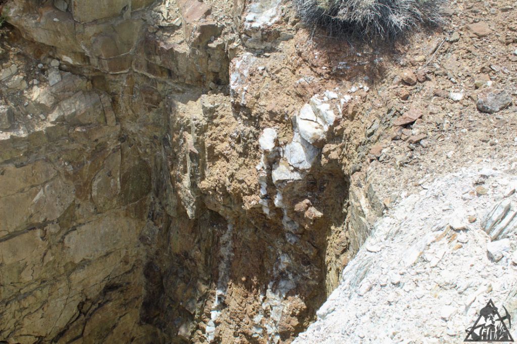 Comstock Extension — photograph 55 of the claim ground, Storey County, Nevada