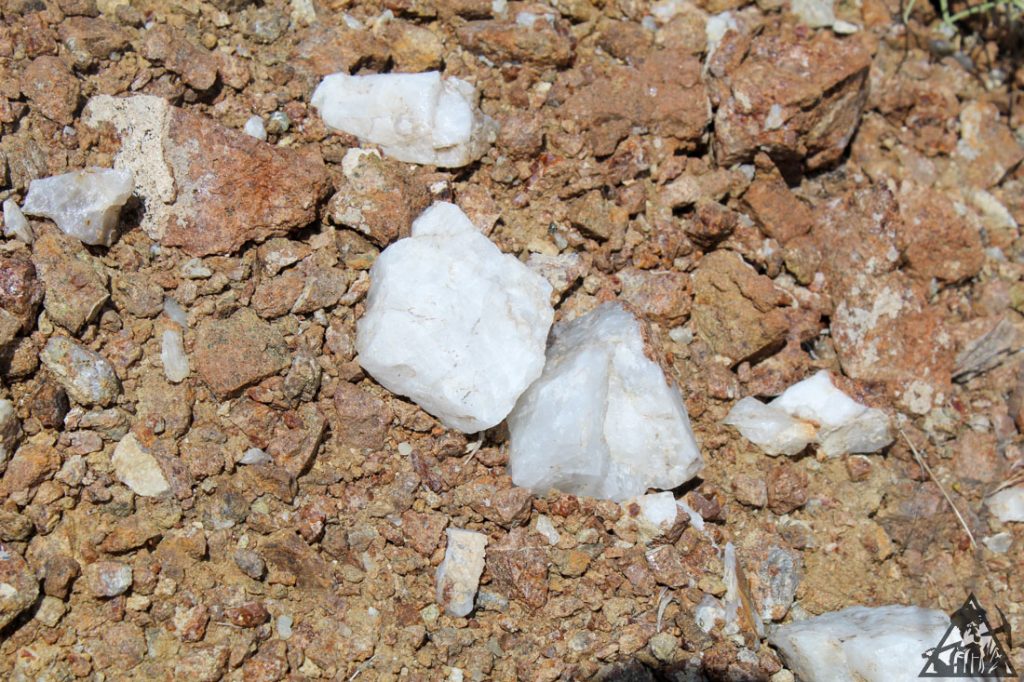 Comstock Extension — photograph 59 of the claim ground, Storey County, Nevada